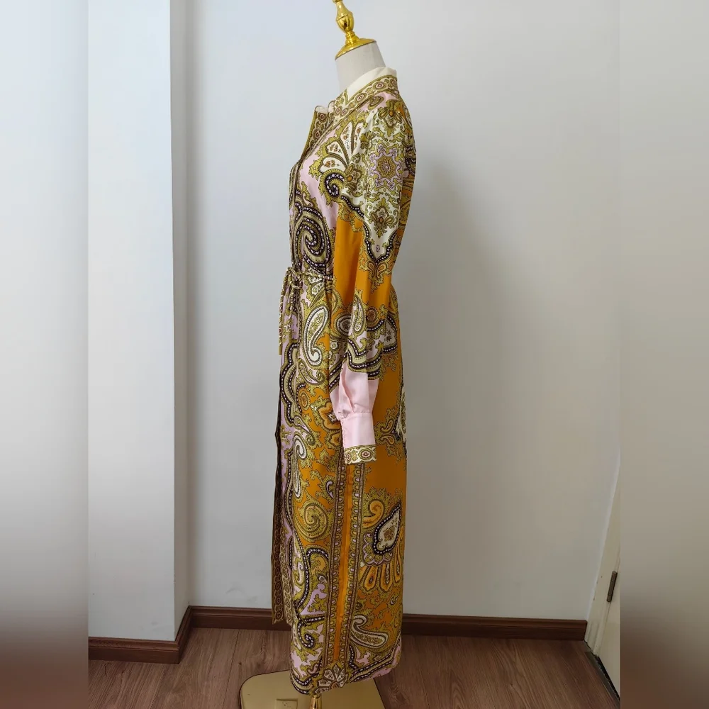 Alemais Clemenza Silk Shirtdress - Mult - Picture 13 of 16